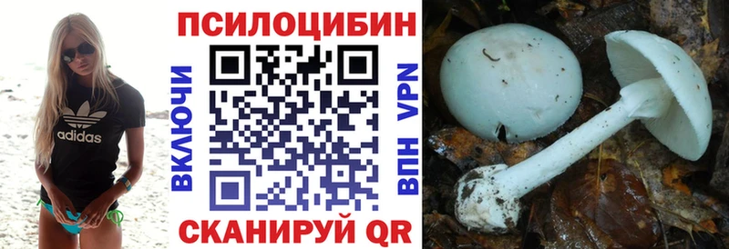 Галлюциногенные грибы Magic Shrooms  где купить наркоту  Жирновск 