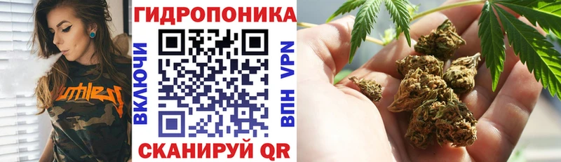 Шишки марихуана MAZAR  МЕГА   Жирновск 